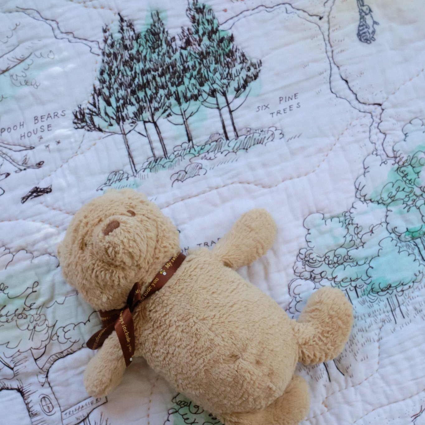 Hundred Acre Wood with Teddy