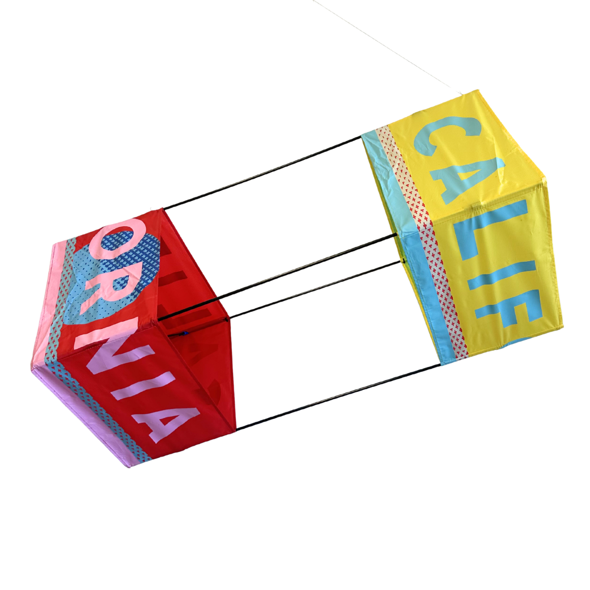 California Box Kite (SAMPLE)