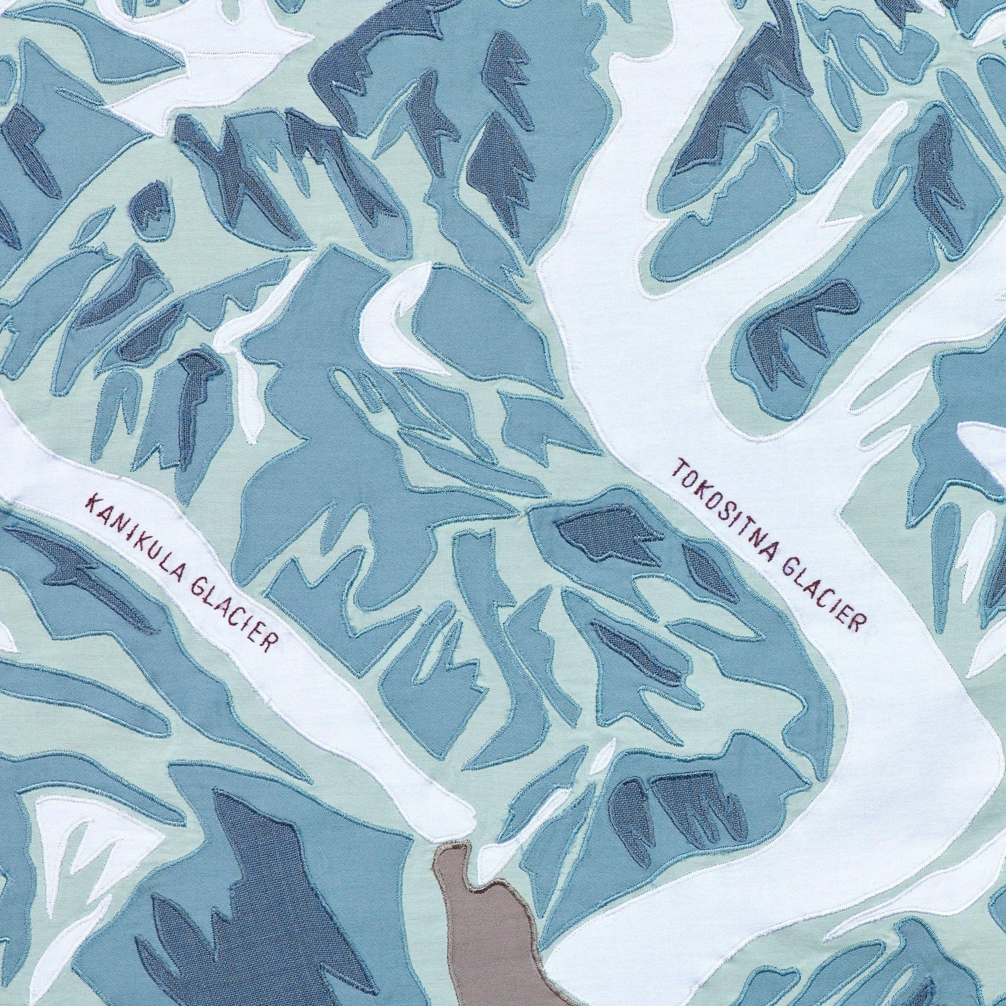 Denali Mountain Portrait - Haptic Lab