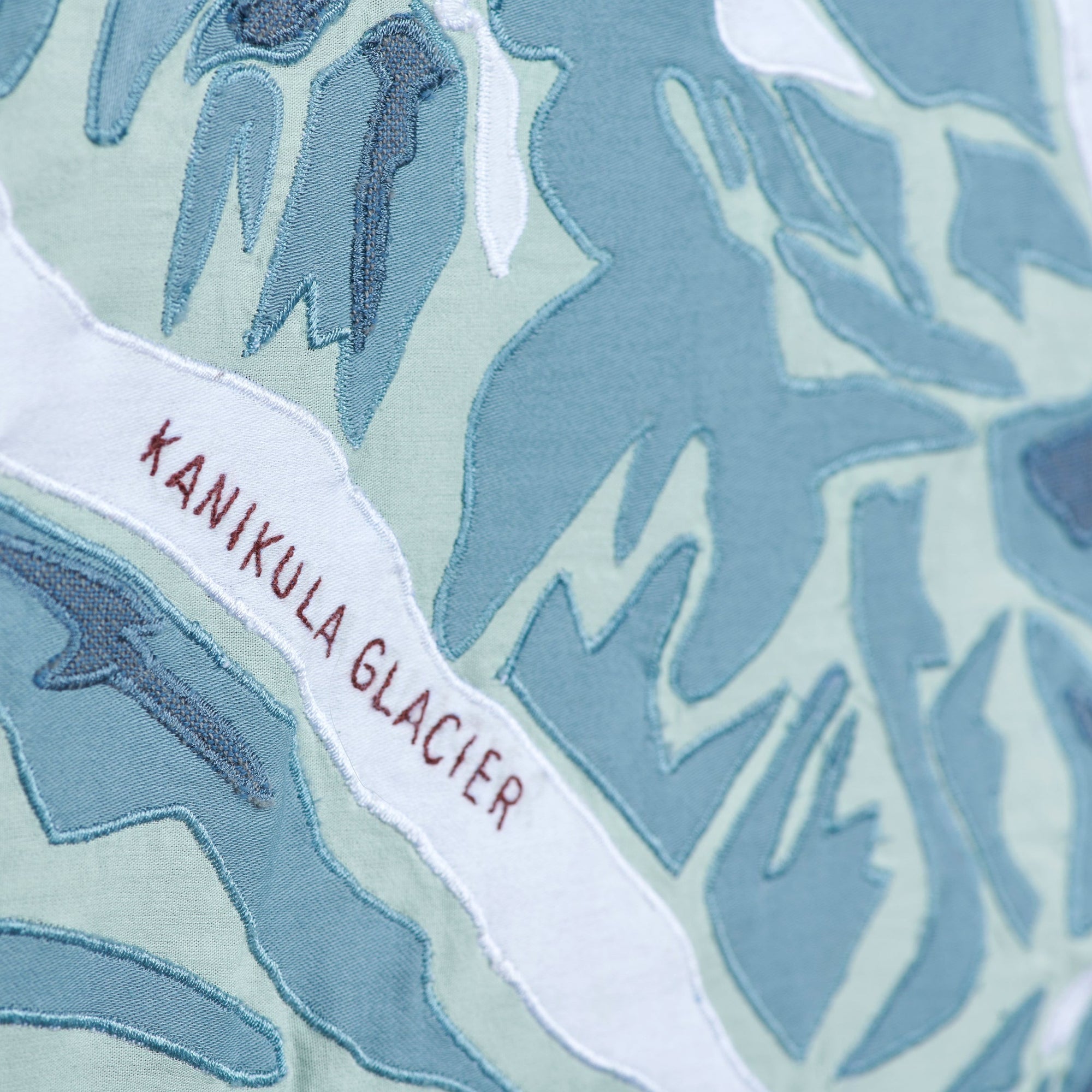 Detail shot of Denali Mountain Portrait showing glaciers - Haptic Lab