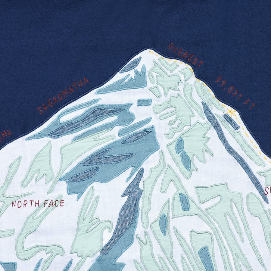 Detail Shot of the North Face on Mount Everest Mountain Portrait - Haptic Lab