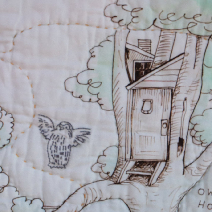 Owl in Hundred Acre Wood